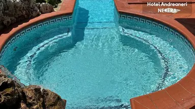Andreaneri