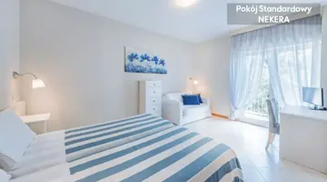 Andreaneri