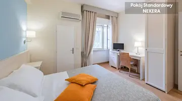 Andreaneri