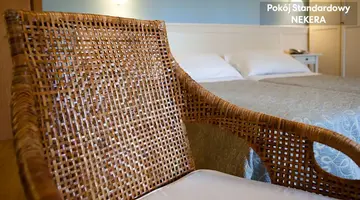 Andreaneri
