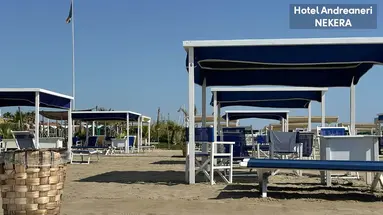 Andreaneri