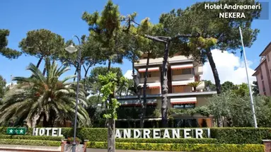 Andreaneri