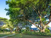 ANELIA RESORT & SPA FLIC EN FLAC