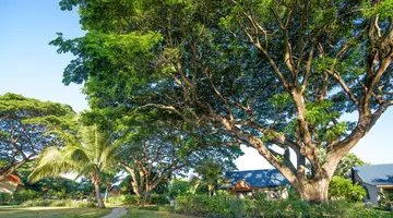 ANELIA RESORT & SPA FLIC EN FLAC