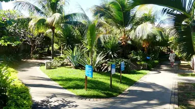 Anelia Resort & SPA