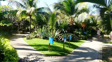 Anelia Resort & SPA