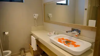 Anelia Resort & SPA