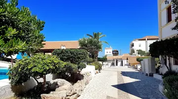 Anema