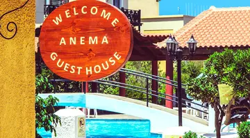 Anema