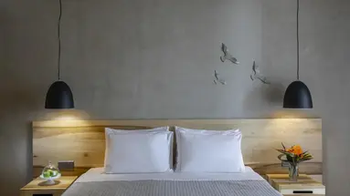 Anemi Hotel and Suites