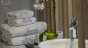 Anemi Hotel and Suites
