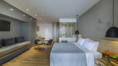 Anemi Hotel & Suites