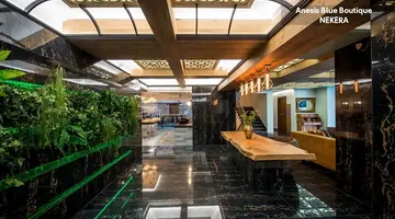 Anesis Blue Boutique Hotel