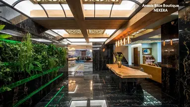 Anesis Blue Boutique Hotel