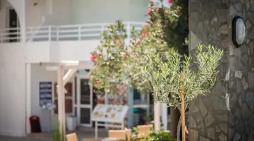 ANIKA STUDIOS RHODES