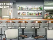 Anika Studios