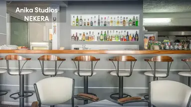 Anika Studios