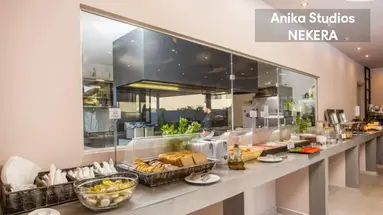 Anika Studios