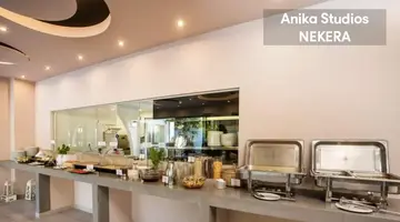 Anika Studios