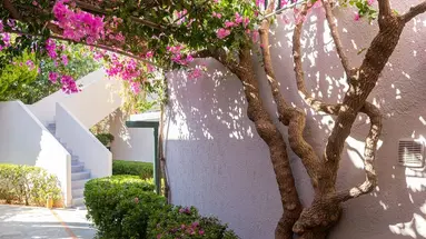 Anna Maria Village