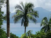 ANSE SOLEIL BEACHCOMBER
