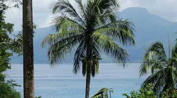 ANSE SOLEIL BEACHCOMBER