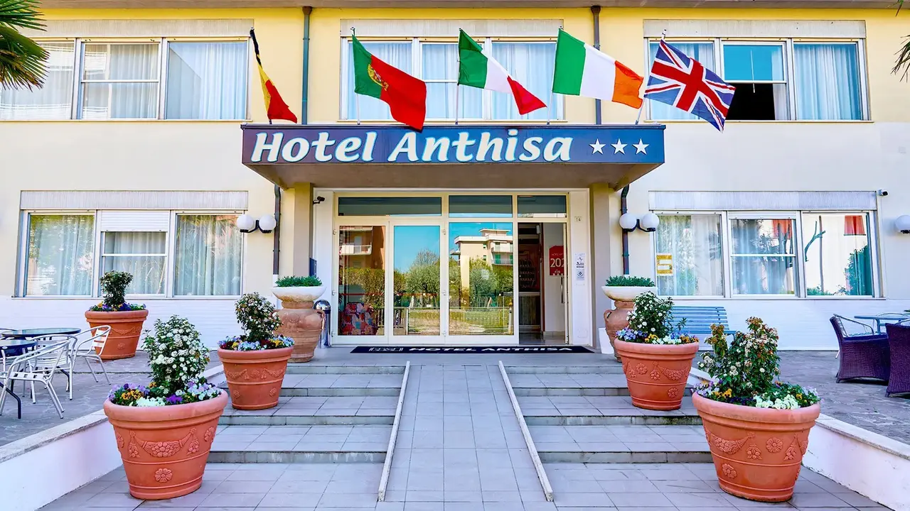Anthisa