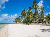 Antonio Beach Tree House Hotel & Spa