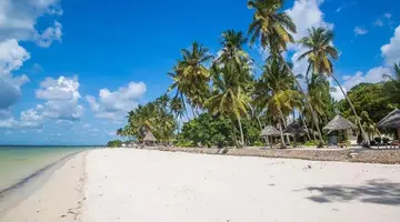 Antonio Beach Tree House Hotel & Spa