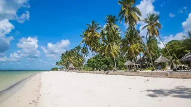 Antonio Beach Tree House Hotel & Spa