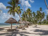Antonio Beach Tree House Hotel & Spa