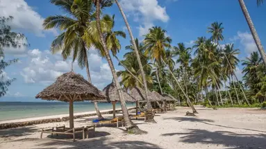 Antonio Beach Tree House Hotel & Spa