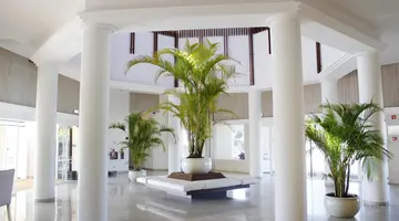 AP Adriana Beach Resort