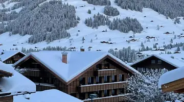 Apart Hotel Adelboden