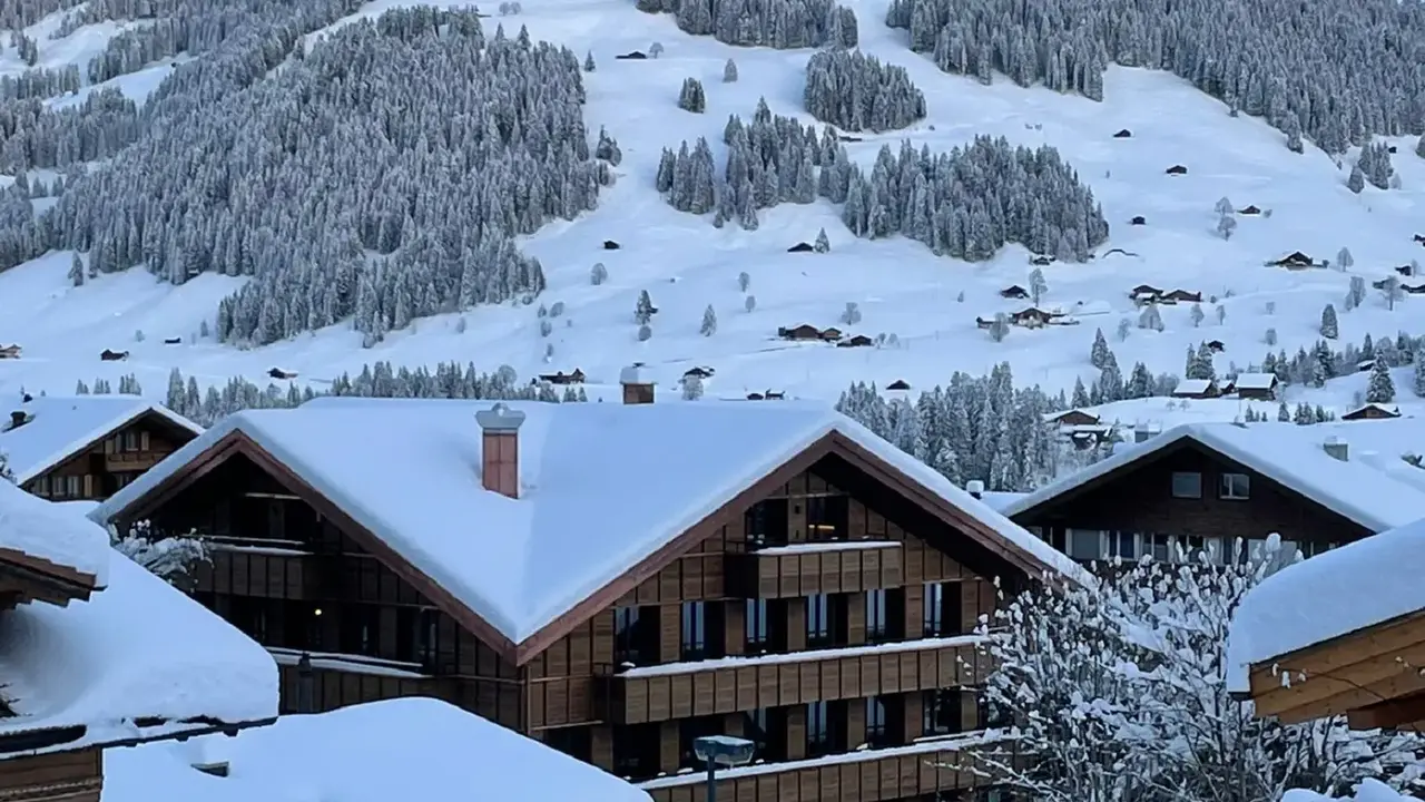Apart Hotel Adelboden