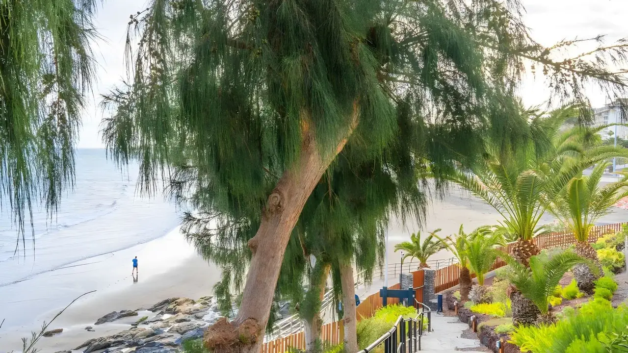 Apartamentos Buganvilla - ADULTS ONLY