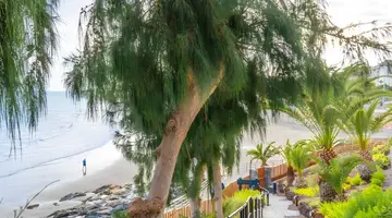 Apartamentos Buganvilla - ADULTS ONLY