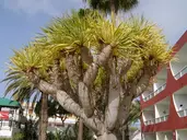 Apartamentos Ecuador