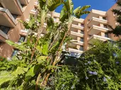 Apartamentos Globales Nova