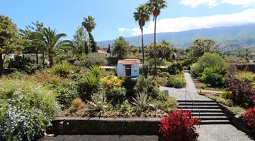 Apartamentos Miranda