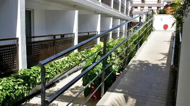Apartamentos Pez Azul
