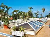 Apartamentos Pez Azul