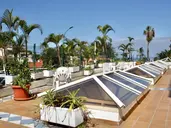 Apartamentos Pez Azul