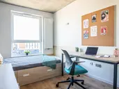 Apartamenty Collegia Grunwaldzka