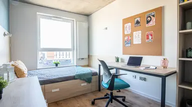 Apartamenty Collegia Grunwaldzka