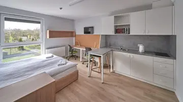 Apartamenty Collegia