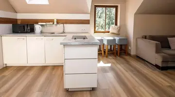 Apartamenty Silva