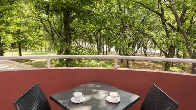 Apartments Amfora Plava Laguna