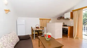 Apartments Senjo