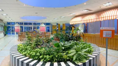 Apartotel Magic Tropical Splash